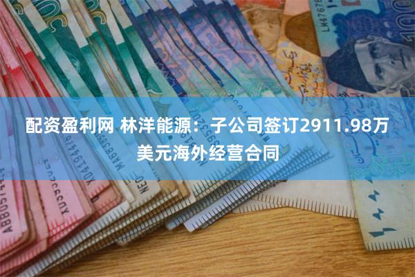 配资盈利网 林洋能源：子公司签订2911.98万美元海外经营合同