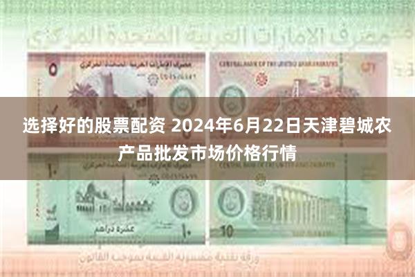 选择好的股票配资 2024年6月22日天津碧城农产品批发市场价格行情