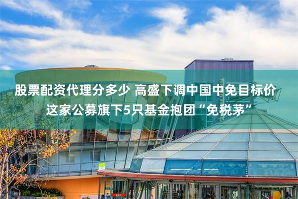 股票配资代理分多少 高盛下调中国中免目标价  这家公募旗下5只基金抱团“免税茅”