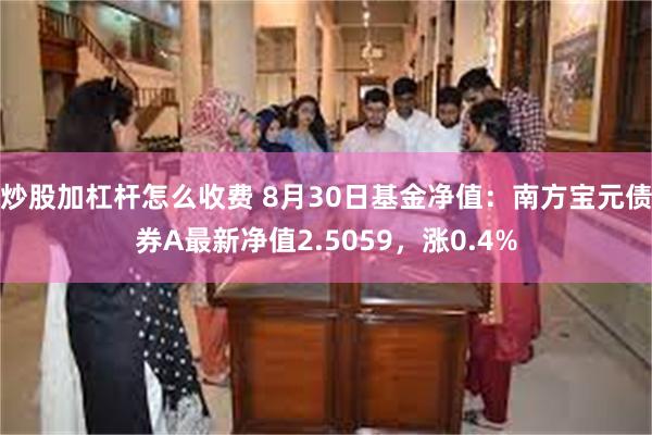 炒股加杠杆怎么收费 8月30日基金净值：南方宝元债券A最新净值2.5059，涨0.4%