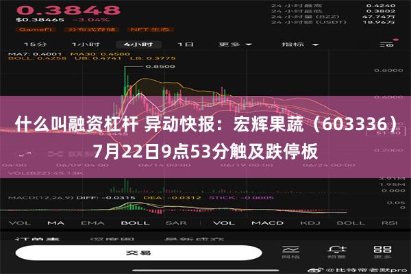   什么叫融资杠杆 异动快报：宏辉果蔬（603336）7月22日9点53分触及跌停板