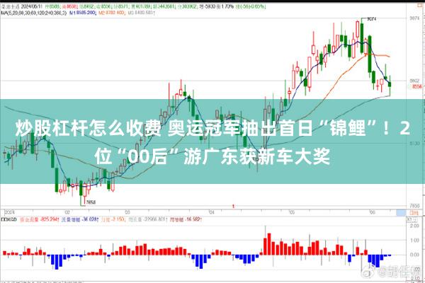 炒股杠杆怎么收费 奥运冠军抽出首日“锦鲤”！2位“00后”游广东获新车大奖