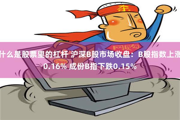 什么是股票里的杠杆 沪深B股市场收盘：B股指数上涨0.16% 成份B指下跌0.15%