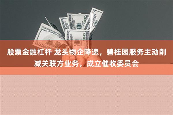 股票金融杠杆 龙头物企降速，碧桂园服务主动削减关联方业务，成立催收委员会