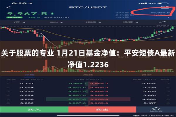 关于股票的专业 1月21日基金净值：平安短债A最新净值1.2236