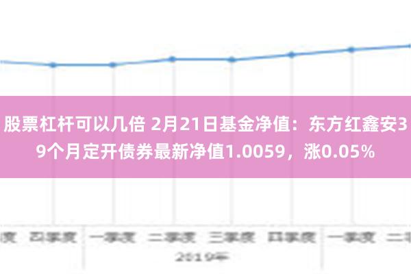 股票杠杆可以几倍 2月21日基金净值：东方红鑫安39个月定开