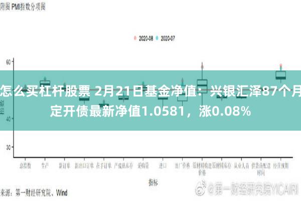 怎么买杠杆股票 2月21日基金净值：兴银汇泽87个月定开债最